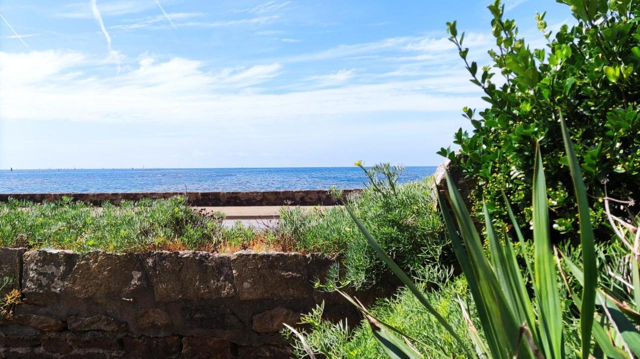 Appartement T3 De 74M2 Tres Lumineux Vue Panoramique Mer Et Plages Concarneau Eksteriør billede